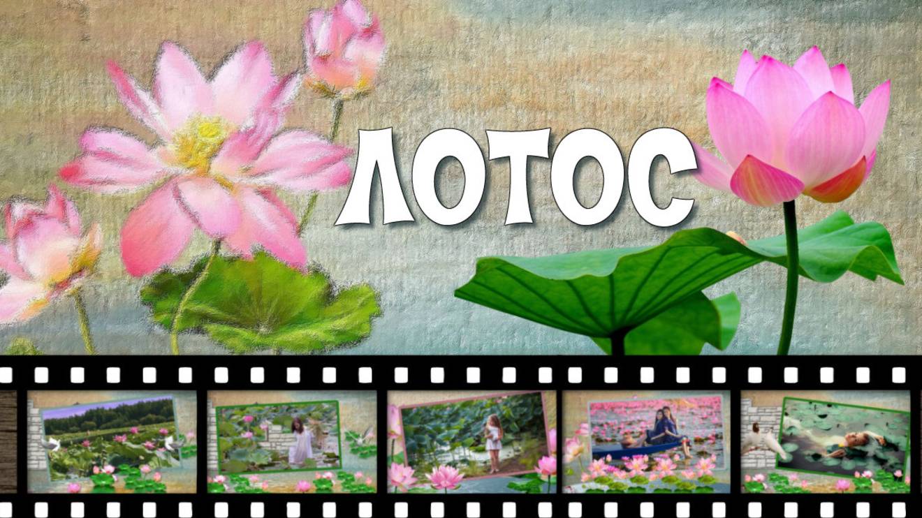 Lotus-Лотос-проект ProShow Producer