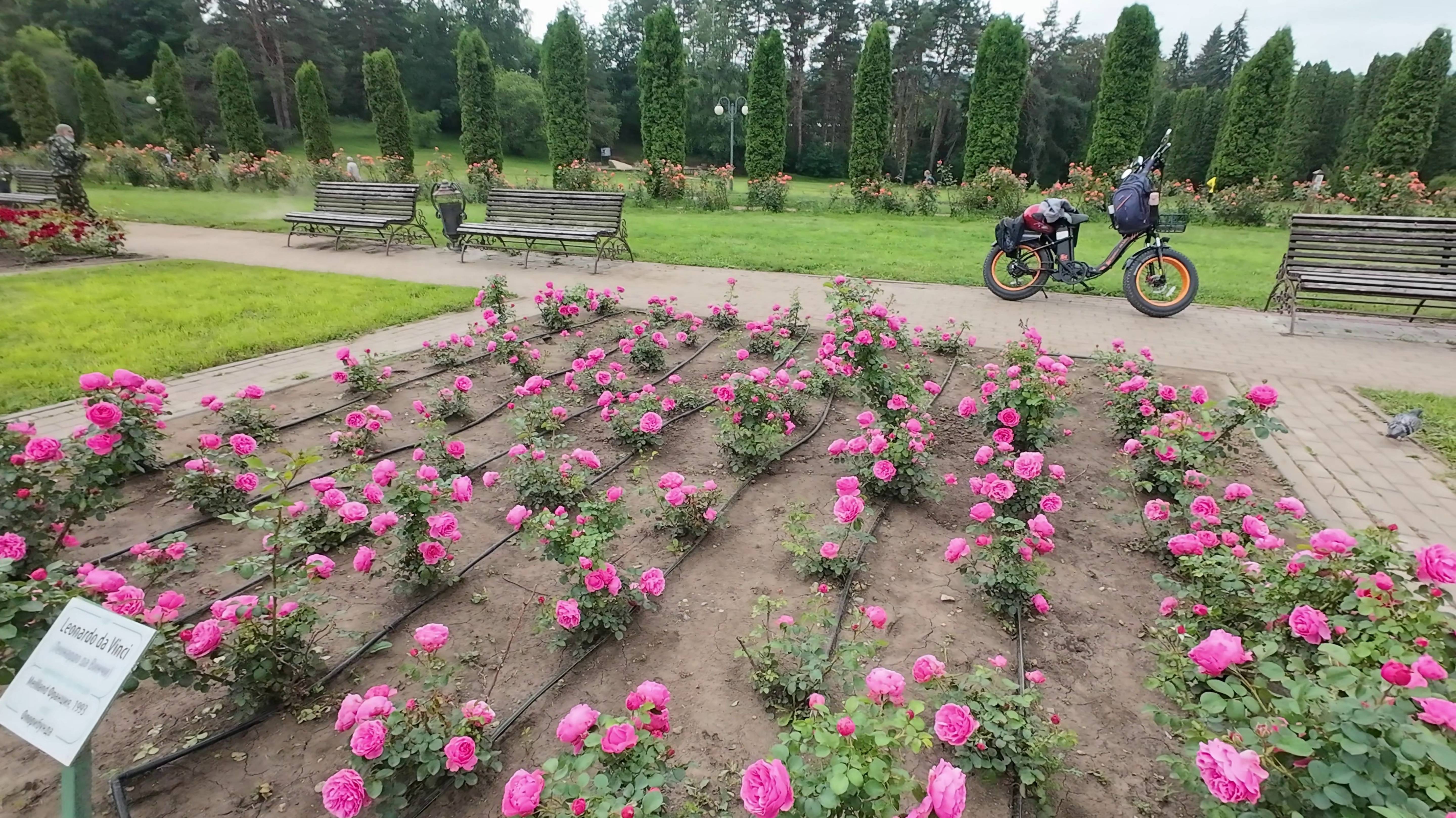 Кисловодск. Прогулка по городу и парку на электровелосипеде.Тест  экшн-камеры DJI  action 4 2 часть
