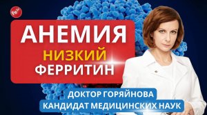 Какой уровень ферритина должен быть? Как вылечить анемию? Как поднять низкий ферритин?