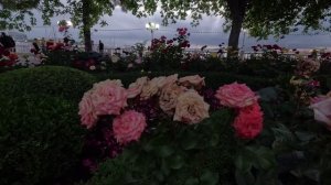 Вечерний Геленджик 2025