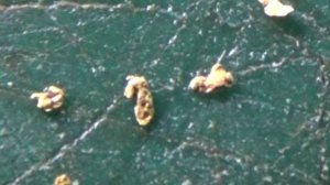 Ловушка для Золота на реке! Перекат!