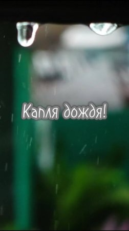 Пасмурное лето. Дождя приветы.