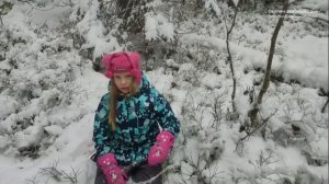 За новогодней ёлкой в лес!