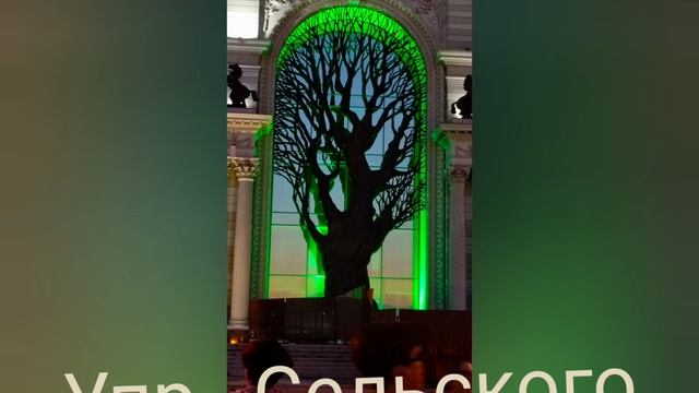 огни Казани смотреть онлайн