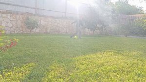 5 трюков как забить в ворота с 5 метров