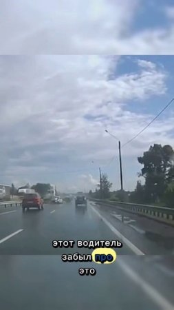 Не гоняйте по мокрой дороге #авто #shorts #shortvideo #video #новости #дтп #авария #гаи #олень #2025