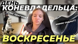 день коневладельца: воскресенье #конныйспорт