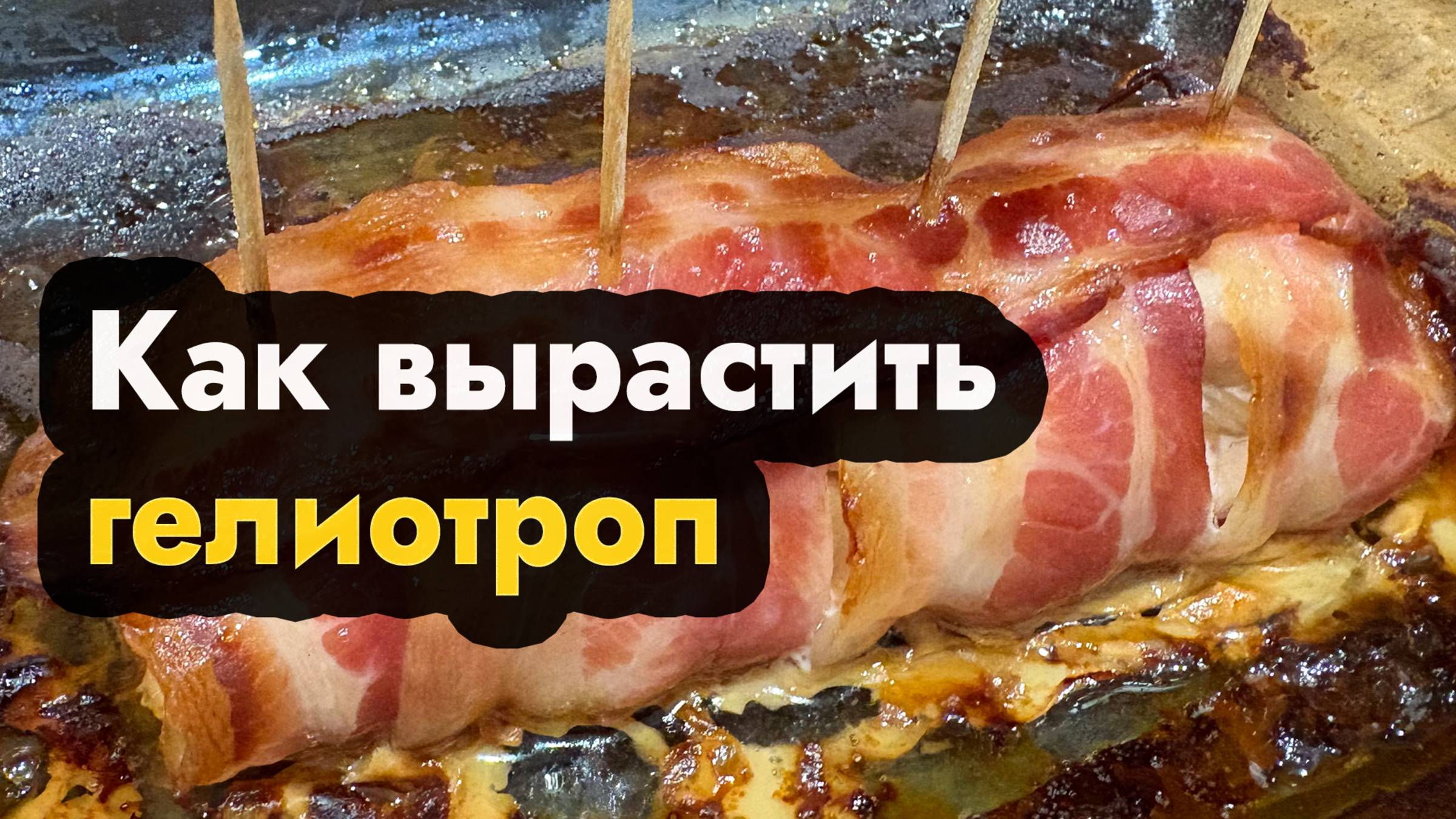 Рулет из курицы в духовке - рецепт рулетов из курицы с беконом в духовке
