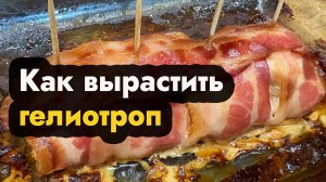 Рулет из курицы в духовке - рецепт рулетов из курицы с беконом в духовке