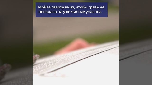 Летняя мойка без разводов — секреты от Руль и Реальность