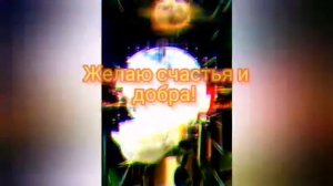 Поздравление с Днём Рождения