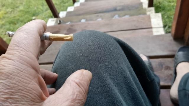 СОЧИ ГОРНОЕ ЛОО УТРО 22.06.2025