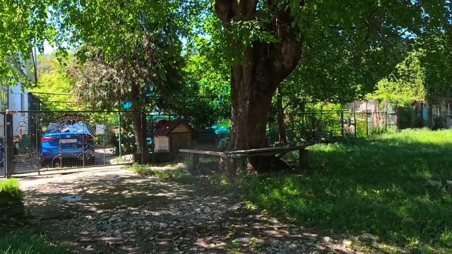 село Верхняя Якорная Щель. В Сочи.