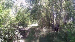 Покатушки на природу №40.😊