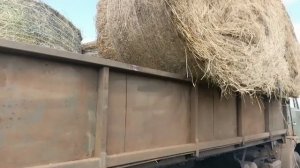 заканчиваем вывозить сено с дальних полян