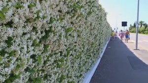 Иду на пляж Бархатные сезоны