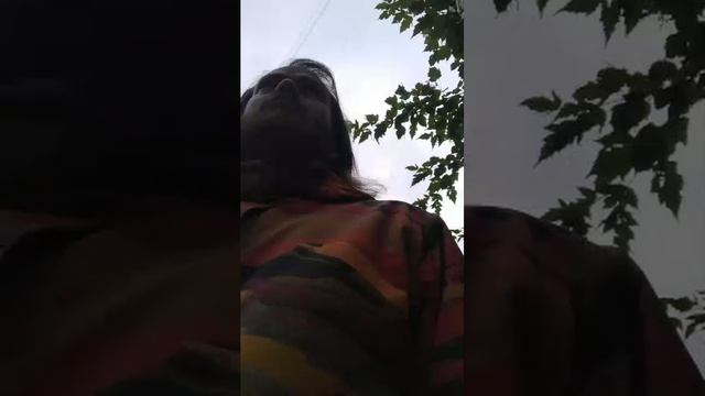 Мы идём гулять с собакой! | 22-июн-2025