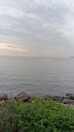 Финский залив