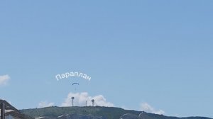 Анапа 22.06.2025
Дикие пляжи