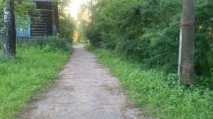 Walking through the beautiful village: деревья в закате