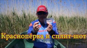Константин Кузьмин. Краснопёрка и сплит-шот, 2013 год