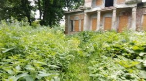 22.06.2025.Усадьба Парк Кино Ляхово. Парк Кошек. Обзор, разрушения Усадьбы Ляхово. Домодедово.Москва