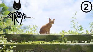 Stray ● Прохождение ● часть 2