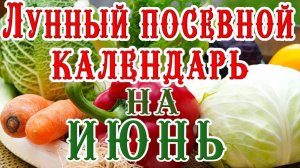 🍅ЛУННЫЙ ПОСЕВНОЙ КАЛЕНДАРЬ НА ИЮНЬ 2025 🌕