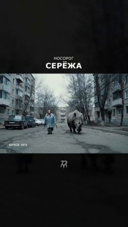 Носорог Серёда подержи его🥲