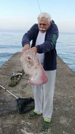 Ловим морского ската и черноморскую лисицу
