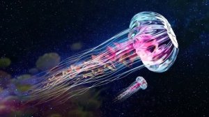 2025 Матрица Гаряева для СНА | Спокойный СОН Здоровый СОН | Как победить бессоницу? Пётр Гаряев