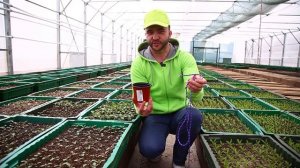 "У-дачный контент"  - выпуск №2, занимайся  вместе с нами!