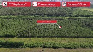 8534960 Берёзовое 4 коп прайм