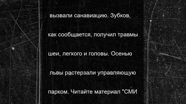 Хозяина крымского парка "Тайган" Олега Зубкова атаковали львы