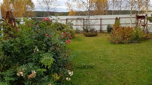Мой летний огород часть (3)