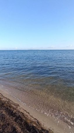 22.06.2025 Таманский залив