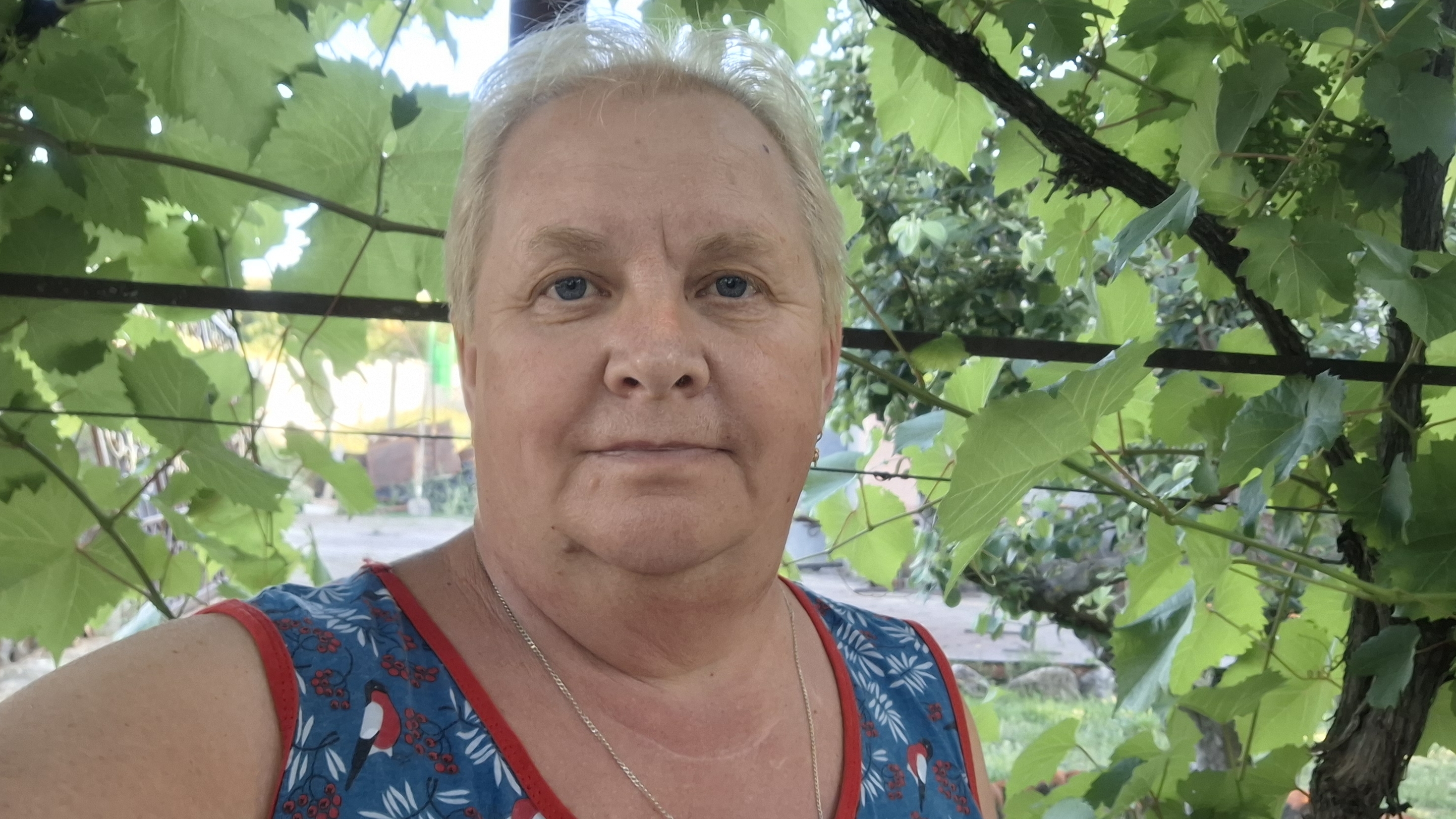 273. Привет из Крыма. Сыр, сыр, сыр... 22.06.25.