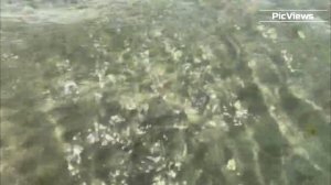 Анапа Джемете сегодня 22 июня 2025. Обстановка на пляже море и погода сейчас. Мазута почти нет!