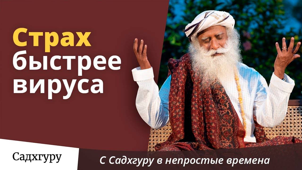 Страх и паника быстрее вируса
