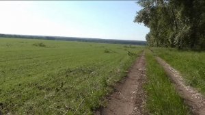 Последствия недавнего урагана