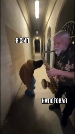 Планируете закупку товаров и доставку из Китая?