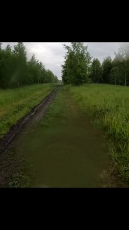 " Симфония дождя "