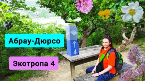 #153 Абрау-Дюрсо 2025 поход по живописной экотропе номер 4 #леснаяцаревна #пойдемсомной #sumkiberry