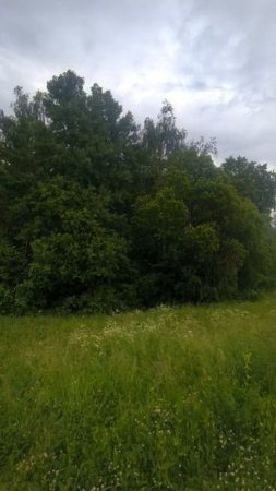 Красивый летний парк