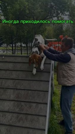 Пряник в Кинологическом парке