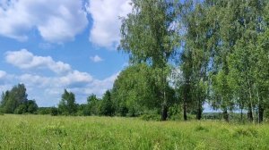 Чудеса природы. Красота вокруг нас. Река Клязьма. Идём, гуляем. Июнь 2025