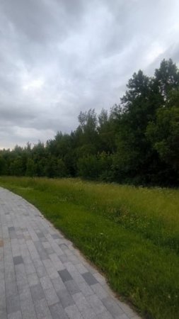 Вдоль дорожки