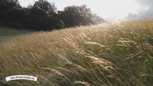 Начинай день с молитвы вместе с Оптиной