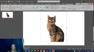 Удаление фона в PowerPoint