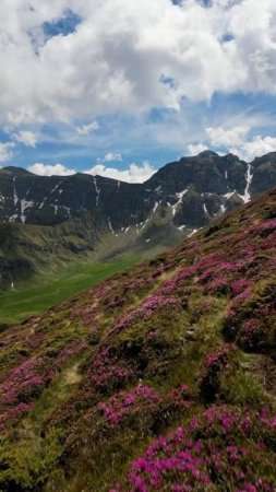 Горы Бучеджи, Румыния.